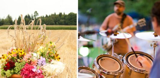 Dożynki koło Wrocławia już dzisiaj. Sprawdź, koncerty i inne atrakcje! dożynki w okolicy Wrocławia