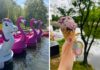 Przystań Zwierzyniecka ponownie otwarta – popływaj flamingiem i zjedz lody od Beza Krówka