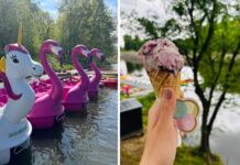Przystań Zwierzyniecka otwarta po remoncie – popływaj flamingiem i zjedz lody od Beza Krówka