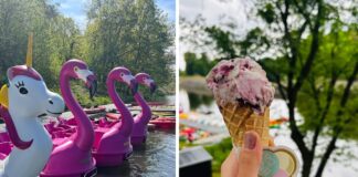 Przystań Zwierzyniecka ponownie otwarta – popływaj flamingiem i zjedz lody od Beza Krówka