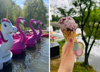 Przystań Zwierzyniecka ponownie otwarta – popływaj flamingiem i zjedz lody od Beza Krówka