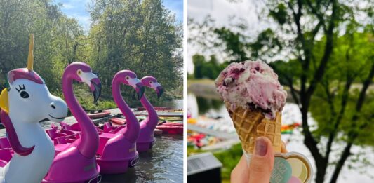 Przystań Zwierzyniecka ponownie otwarta – popływaj flamingiem i zjedz lody od Beza Krówka