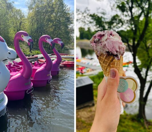 Przystań Zwierzyniecka ponownie otwarta – popływaj flamingiem i zjedz lody od Beza Krówka