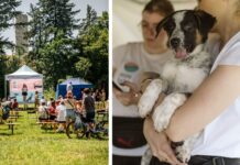 V Piknik Adopciaka GRUPY RATUJ już jutro!