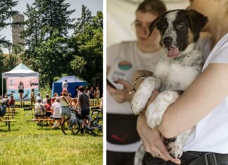 V Piknik Adopciaka GRUPY RATUJ już jutro!