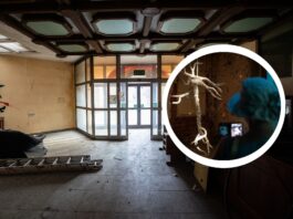 Sztuka w dawnym szpitalu psychiatrycznym. Przed nami 24. Przegląd Sztuki SURVIVAL