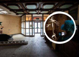 Sztuka w dawnym szpitalu psychiatrycznym. Przed nami 24. Przegląd Sztuki SURVIVAL