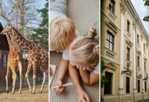 Wakacje z dziećmi we Wrocławiu. 15 pomysłów na wspólne spędzenie czasu, nawet jeśli zostajecie w mieście