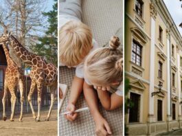 Wakacje z dziećmi we Wrocławiu. 15 pomysłów na wspólne spędzenie czasu, nawet jeśli zostajecie w mieście