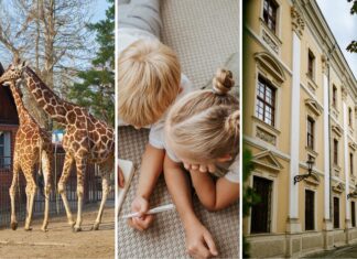 Wakacje z dziećmi we Wrocławiu. 15 pomysłów na wspólne spędzenie czasu, nawet jeśli zostajecie w mieście
