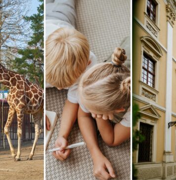 Wakacje z dziećmi we Wrocławiu. 15 pomysłów na wspólne spędzenie czasu, nawet jeśli zostajecie w mieście