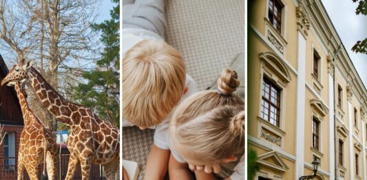 Wakacje z dziećmi we Wrocławiu. 15 pomysłów na wspólne spędzenie czasu, nawet jeśli zostajecie w mieście