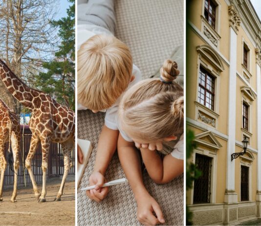 Wakacje z dziećmi we Wrocławiu. 15 pomysłów na wspólne spędzenie czasu, nawet jeśli zostajecie w mieście