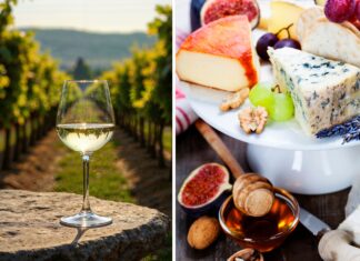 Święto sera i wina na Uniwersytecie Przyrodniczym we Wrocławiu