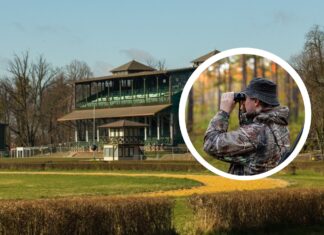 Dolnośląski Hubertus 2025 – bezpłatne koncerty i atrakcje na Partynicach we Wrocławiu