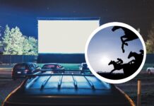 Filmowe lato na Partynicach. Bezpłatne Kino pod gwiazdami i jedyne kino samochodowe we Wrocławiu