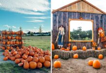 Jesień na Dolnym Śląsku – dynie, festiwale i zamki w kolorach złota