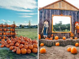 Jesień na Dolnym Śląsku – dynie, festiwale i zamki w kolorach złota