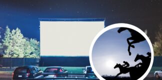 Filmowe lato na Partynicach. Bezpłatne Kino pod gwiazdami i jedyne kino samochodowe we Wrocławiu