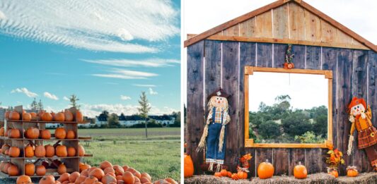 Jesień na Dolnym Śląsku – dynie, festiwale i zamki w kolorach złota