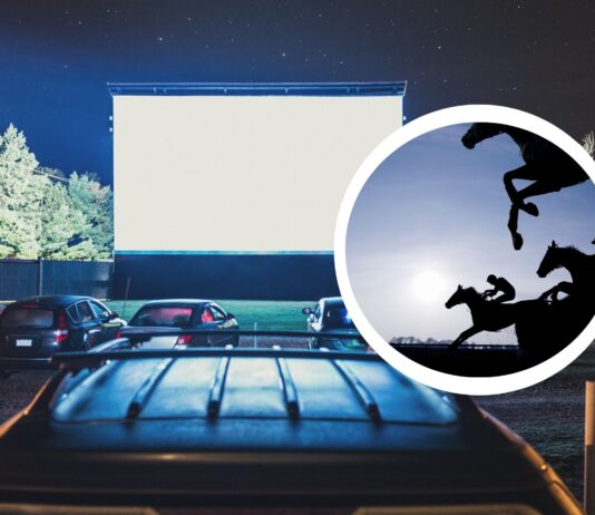 Filmowe lato na Partynicach. Bezpłatne Kino pod gwiazdami i jedyne kino samochodowe we Wrocławiu