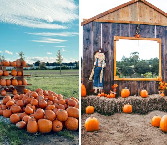 Jesień na Dolnym Śląsku – dynie, festiwale i zamki w kolorach złota