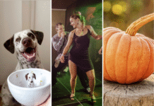 Festiwale i Targi we Wrocławiu. Sprawdź, co będzie się działo w ten weekend! Na zdjęciu zestawienie zdjęć - Filiżanka ze studia Magenta, występ w La Rumba oraz dynia