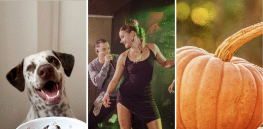 Festiwale i Targi we Wrocławiu. Sprawdź, co będzie się działo w ten weekend! Na zdjęciu zestawienie zdjęć - Filiżanka ze studia Magenta, występ w La Rumba oraz dynia