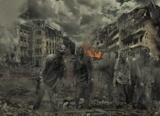 Zombie we Wrocławiu? Recenzja książki „Szczury Wrocławia. Kraty”