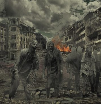 Zombie we Wrocławiu? Recenzja książki „Szczury Wrocławia. Kraty”