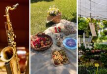 Ostatni weekend kwietnia we Wrocławiu – sprawdź nadchodzące wydarzenia