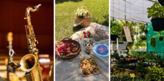 Ostatni weekend kwietnia we Wrocławiu – sprawdź nadchodzące wydarzenia