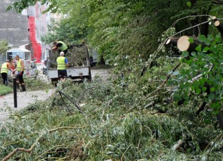 Wichura nadciąga do Wrocławia. Wieczorem możliwy silny wiatr.