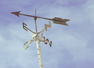 Ostrzeżenie meteorologiczne – silny wiatr we Wrocławiu