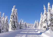 5 miejsc na zimowy wypad na Dolnym Śląsku, które Cię zachwycą!