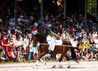Pomysł na weekend we Wrocławiu: Zawody woltyżerskie na Torze Wyścigów Konnych na Partynicach