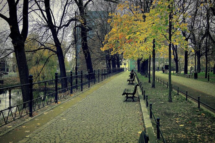 Na zdjęciu odcinek Promenady Staromiejskiej we Wrocławiu