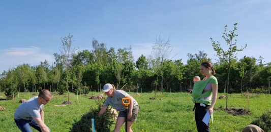 Posadź drzewko z okazji przyjścia na świat Twojego dziecka! 300 drzewek czeka