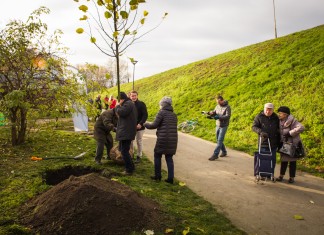 Zazieleńmy 100 ulic na 100-lecie niepodległości!