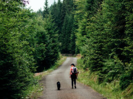 6 ciekawych miejsc, do których dotrzesz z Wrocławia bez samochodu