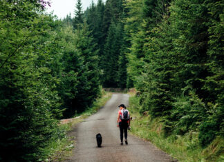 6 ciekawych miejsc, do których dotrzesz z Wrocławia bez samochodu
