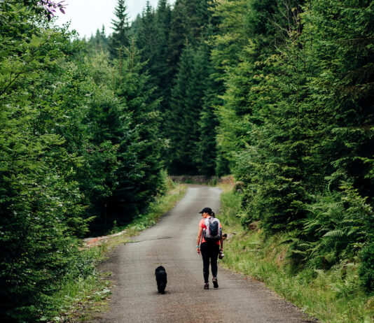6 ciekawych miejsc, do których dotrzesz z Wrocławia bez samochodu