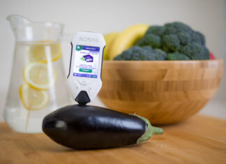 Tester SOEKS do mierzenia azotanów – dlaczego jest potrzebny w domowym użytku?