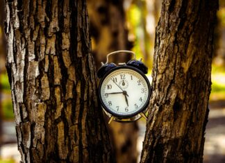 Zmiana Czasu 2024: W najbliższy weekend przesuwamy wskazówki zegarów