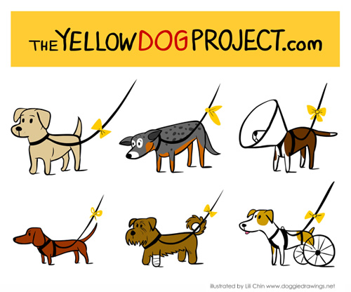 psy z żółtą kokardą