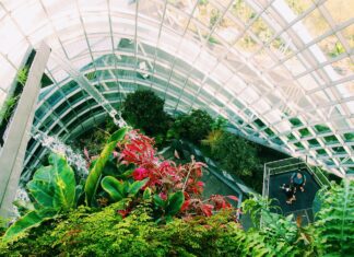 Światowa Wystawa Orchidei, Bonsai i Sukulentów we Wrocławiu!