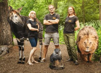 Wracają wycieczki z przewodnikiem po wrocławskim ZOO!